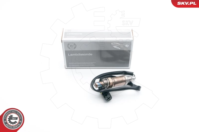 Oxygen Sensor